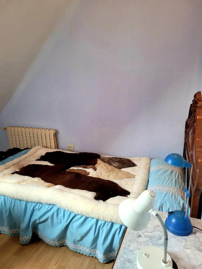Palau 2 Daire Valensiya Dış mekan fotoğraf